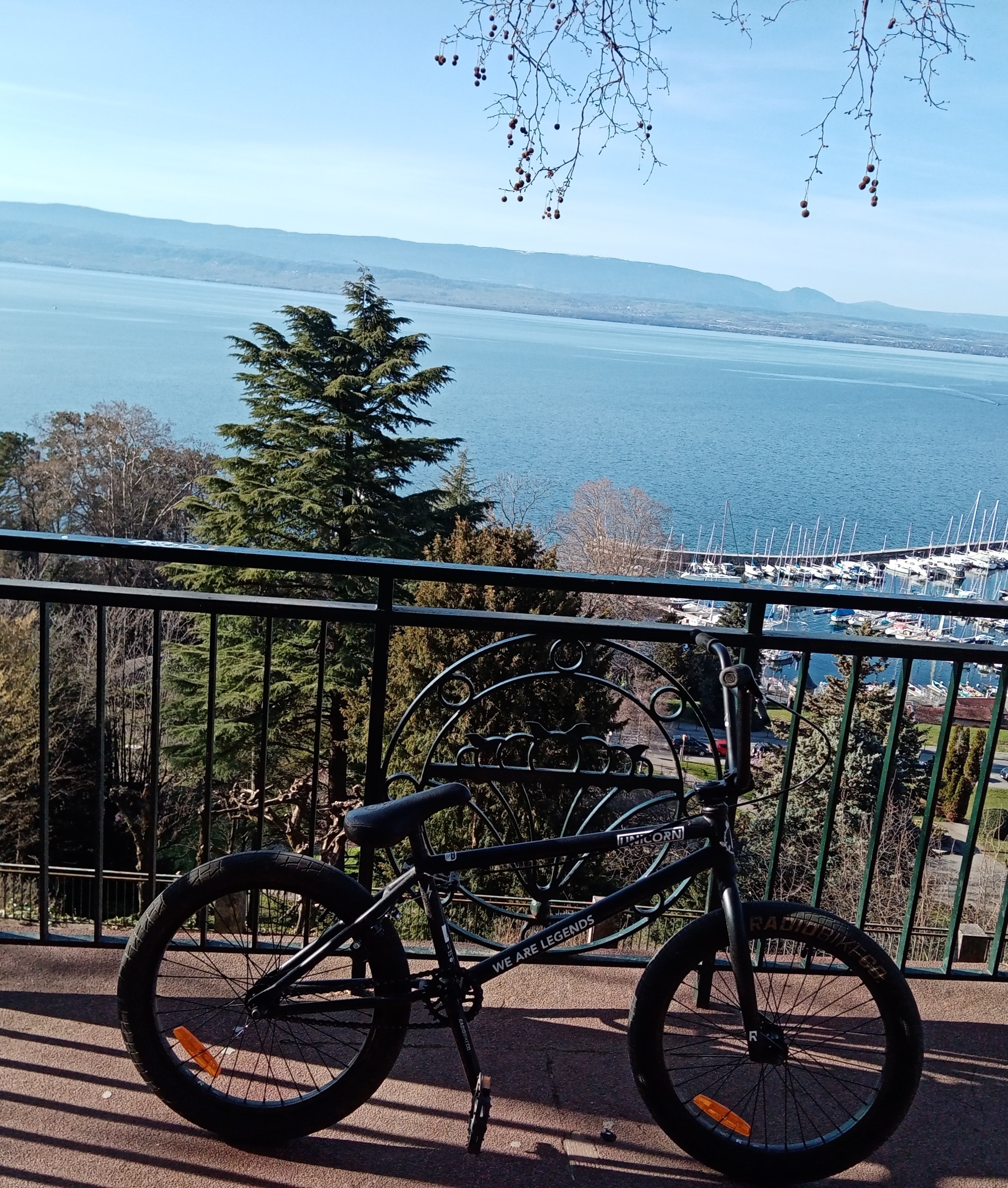 BMX